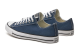 Converse Chuck converse Run Star Hike High Summer Spirit Sesame 171921C Canvas Jacquard (A08729C) blau 6