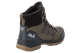 Jack Wolfskin Cold Bay Texapore Mid (4041411_5209) braun 3