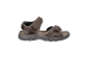 JOSEF SEIBEL Seibel Sandalen (16803TE262/301) braun 1