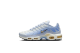 Nike Air Max Plus (DZ3670-004) grau 1