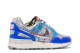 Nike Air Pegasus 89 NRG Phoenix Open (FJ2246 400) bunt 6