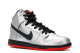 Nike Dunk High Pro SB (305050-027) silber 5