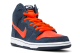 Nike Dunk High Pro SB Syracuse (305050-481) bunt 6