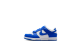 Nike Dunk LOW (FB9108-131) bunt 1