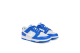 Nike Dunk Low (FN3416-001) bunt 5