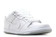 Nike Sb Dunk Ice Low (304292 100) weiss 5