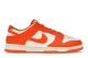 Nike Dunk Low Syracuse Pale Ivory (HF5441 106) bunt 3