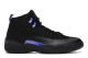 Jordan 12 Retro Dark Concord (CT8013-005) schwarz 4