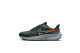 Nike Air Zoom Pegasus 39 Shield (DO7625-300) multicolore 1