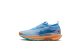 Nike Pegasus Trail 5 GORE TEX (FQ0908-400) bunt 1