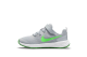 Nike Revolution 6 (DD1095-009) grau 5