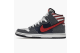 Nike SB Dunk Born In The USA Premium High (313171-100) bunt 2