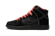 Nike SB Dunk Safari Atomic Pro High (305050 066) schwarz 1