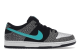 Nike SB Dunk Atmos Elephant Pro Low (BQ6817-009) bunt 5