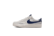 Nike SB Zoom Pogo Plus (FQ2935-001) grau 1