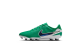 Nike Legend 10 Academy FG Tiempo LV8 (HJ7268-300) grün 1