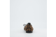 Paul Green Klassische Ballerinas Leopard Muster (1159-028) braun 4