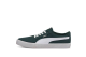 PUMA C Skate Vulc Green Gables (374901-08) grün 1