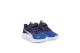 PUMA FlexFocus Modern AC PS (401519-02) bunt 1