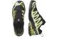 Salomon XA Pro 3D V9 GTX (L47741900) bunt 4