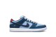 Nike Why So Sad Dunk Low SB Pro (DX5549 400) bunt 6