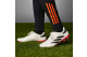 adidas Copa Pure 2 Elite KT FG (IF5443) weiss 2