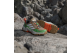 adidas Minecraft Terrex AX4R (JR1289) bunt 6