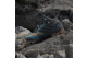 adidas Skychaser Mid GORE TEX GTX (JQ9927) bunt 6