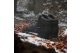 adidas Snowpitch Cold.Rdy (IH3663) schwarz 5