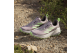 adidas Trailmaker 2.0 GORE TEX (IE5157) pink 6