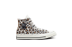 Converse x Brain Dead Chuck 70 (A12219C) bunt 1