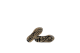 Hoff Zimbabwe (22307005) bunt 4