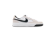 Nike Adversary Premium SB (CW7456-100) bunt 3