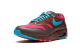 Nike Air Max 1 AMS Amsterdam Parra (313188-241) bunt 4