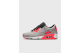 Nike Air Max 90 QS Lux Crimson (CZ7656-001) grau 1