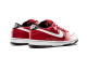 Nike Dunk Low SB Et Kuwahara Premium (313170-611) bunt 5