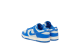 Nike Dunk Low Detroit Lions Retro (HF5441-002) bunt 6
