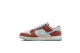 Nike Dunk Low Retro SE (HJ4329-200) bunt 1