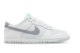 Nike Dunk Low SE Winter Storm (HQ3619 121) bunt 2