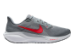 Nike Air Zoom Pegasus 41 (FD2722-013) grau 1