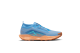 Nike Pegasus Trail 5 GORE TEX (FQ0908-400) bunt 3