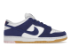 Nike SB Dunk Los Angeles Dodgers Low (DO9395-400) bunt 5