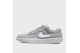 Nike Force 58 SB (CZ2959-004) grau 1