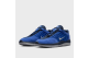 Nike Vertebrae (FD4691400) blau 4