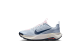 Nike Wildhorse 10 (FV2337-004) grau 1