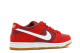 Nike Zoom Dunk Low Pro SB Track (854866-616) rot 5
