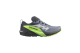 Salomon Sense Ride 5 GORE TEX GTX (L47312800) grau 1