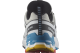 Salomon Trail XA PRO 3D V9 GTX W (L47716500) weiss 4