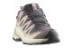 Salomon XA Pro 3D V9 GTX W (L47744700) bunt 6