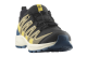 Salomon XA Pro V8 Waterproof (L47729400) bunt 6